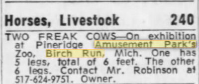 Pine Ridge Amusement Park - Freak Cows Mentioned By Submitters (newer photo)